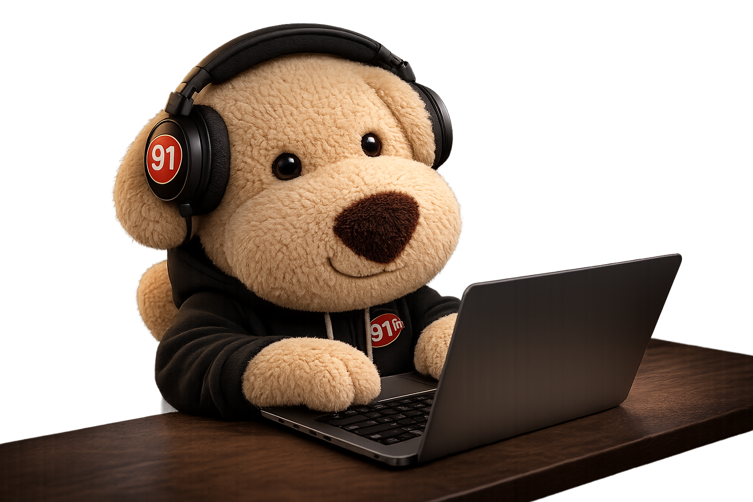 Jingle code le nouveau site 91 FM