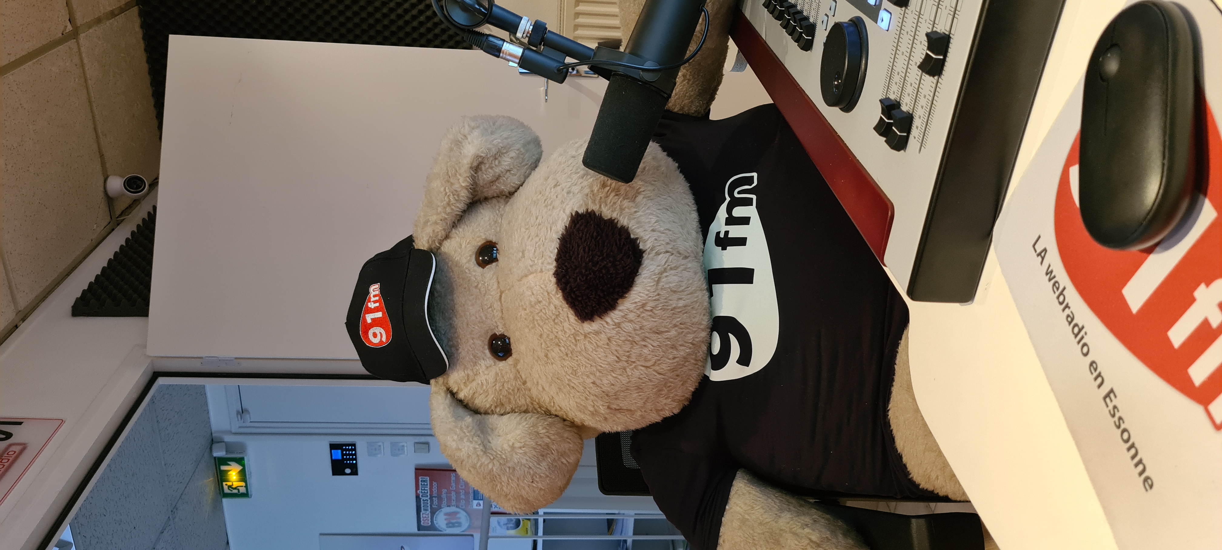Jingle, la mascotte